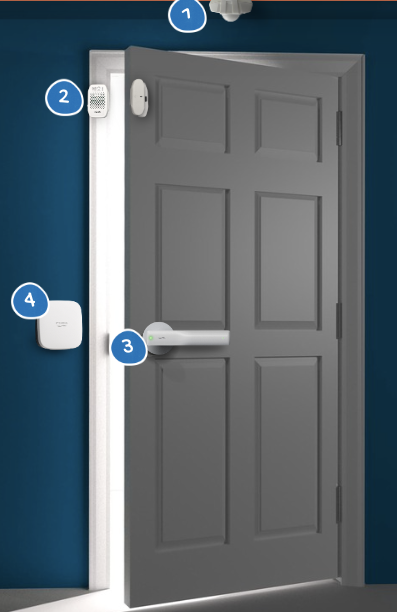 Wander Management Door Mockup